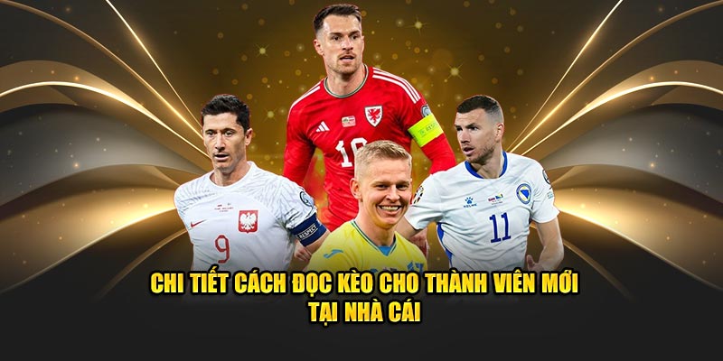 Chi tiết cách đọc kèo cho thành viên mới tại nhà cái