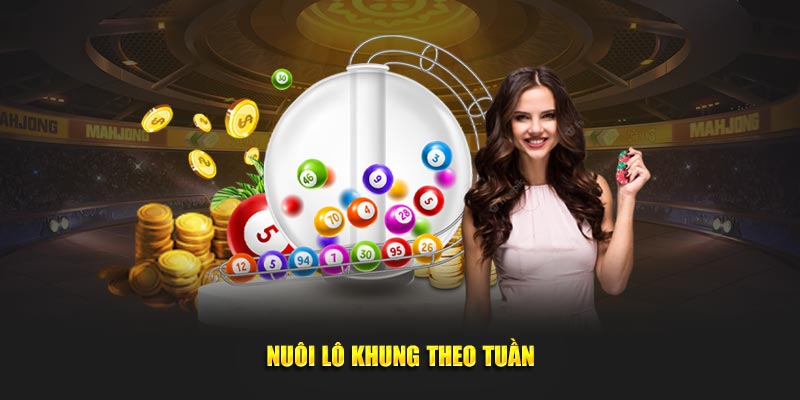 Nuôi lô khung theo tuần